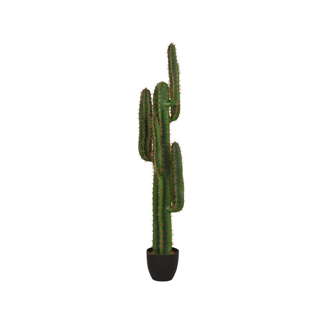 LABEL51 Cactus - Groen - Kunststof - 130 cm van LABEL51 - laagste prijs offerte van PureWonen