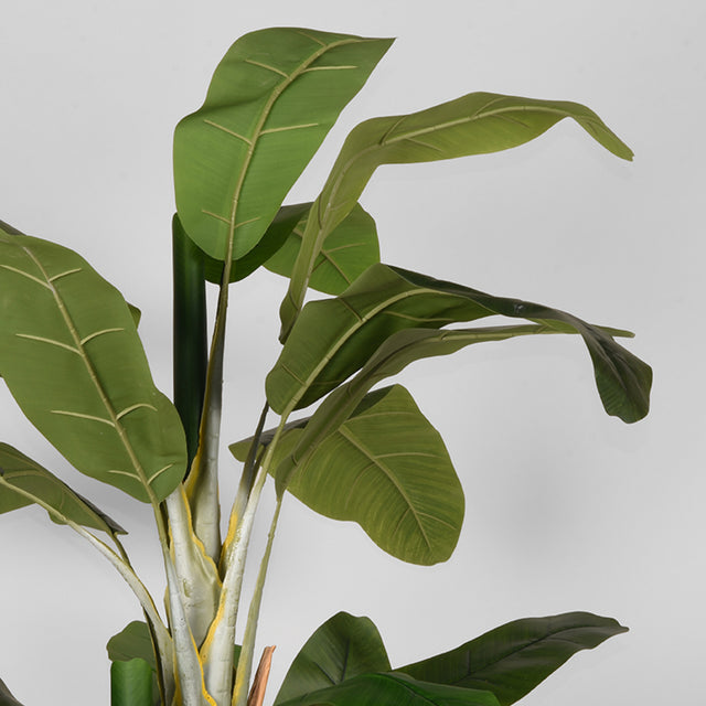 LABEL51 Musa - Groen - Kunststof - 180 cm van LABEL51 - laagste prijs offerte van PureWonen