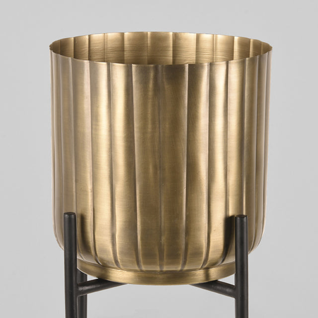 LABEL51 Plantenstandaards - Antiek goud - Metaal van LABEL51 – Luxe comfort op maat van PureWonen. Vraag naar de beste prijs.