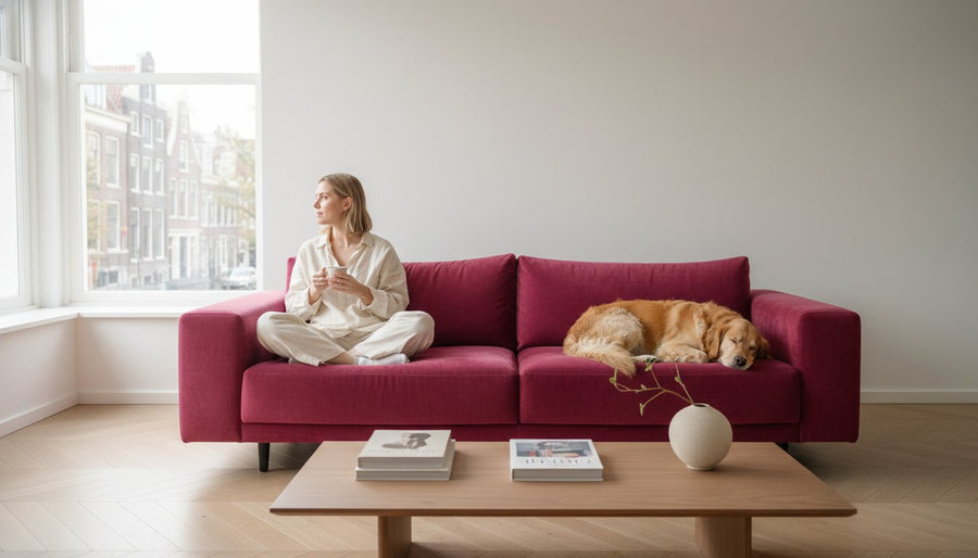 Bank die bestand is tegen huisdieren geurtjes: De ultieme gids voor een fris interieur (2026)