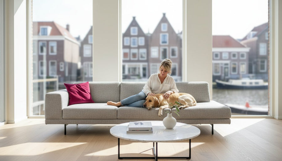 De ideale bank waar hondenhaar makkelijk van te verwijderen is: Een gids voor 2026