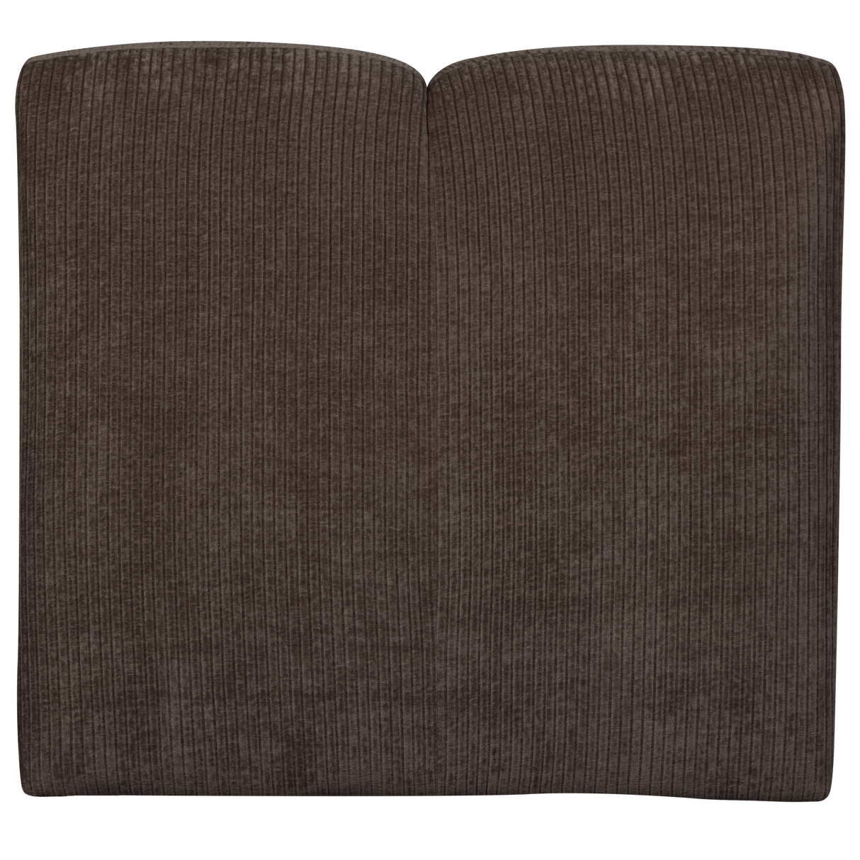 Mojo 1 Zits Element Ribstof Bruin
