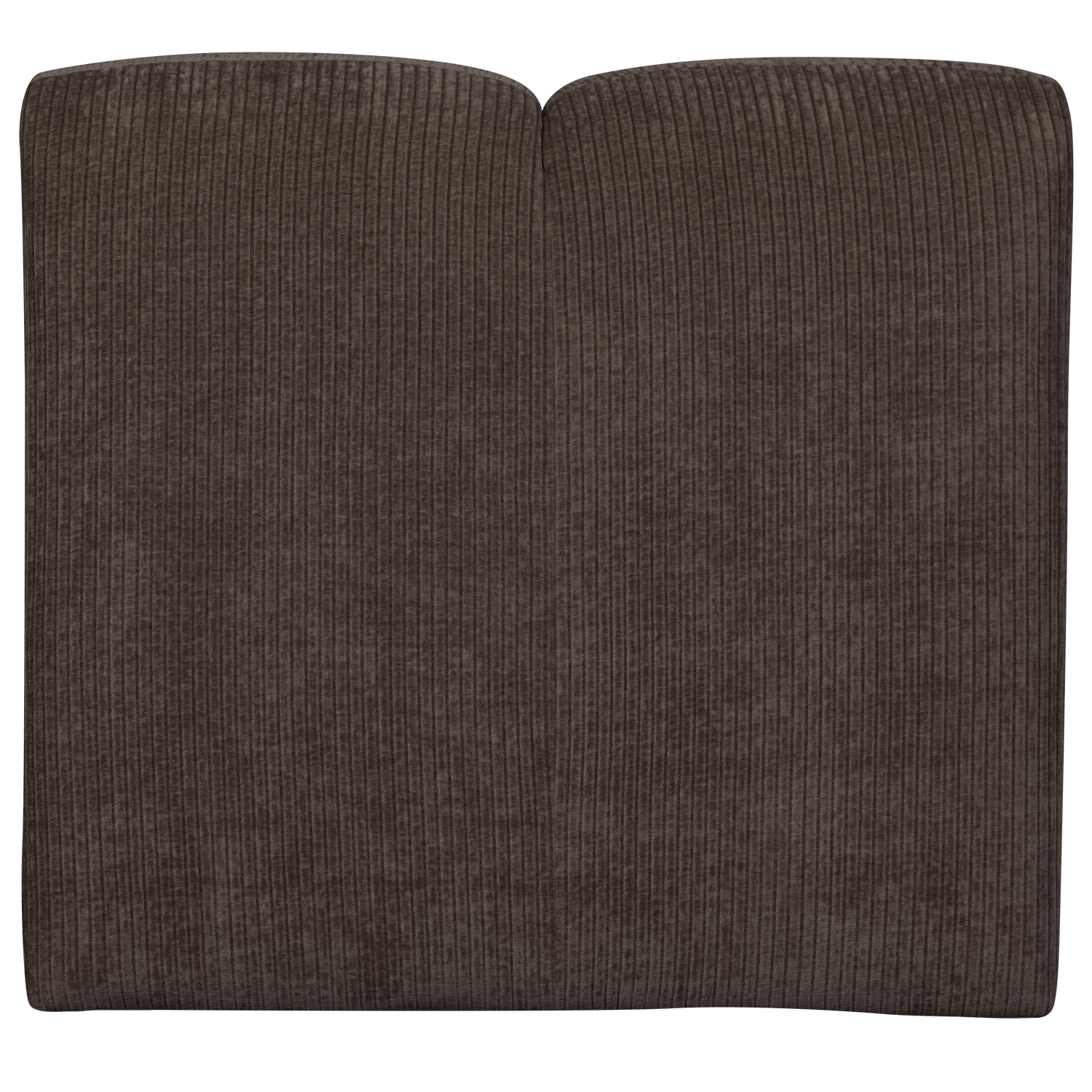 Mojo 1 Zits Element Ribstof Bruin