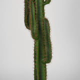 LABEL51 Cactus - Groen - Kunststof - 130 cm van LABEL51 - laagste prijs offerte van PureWonen