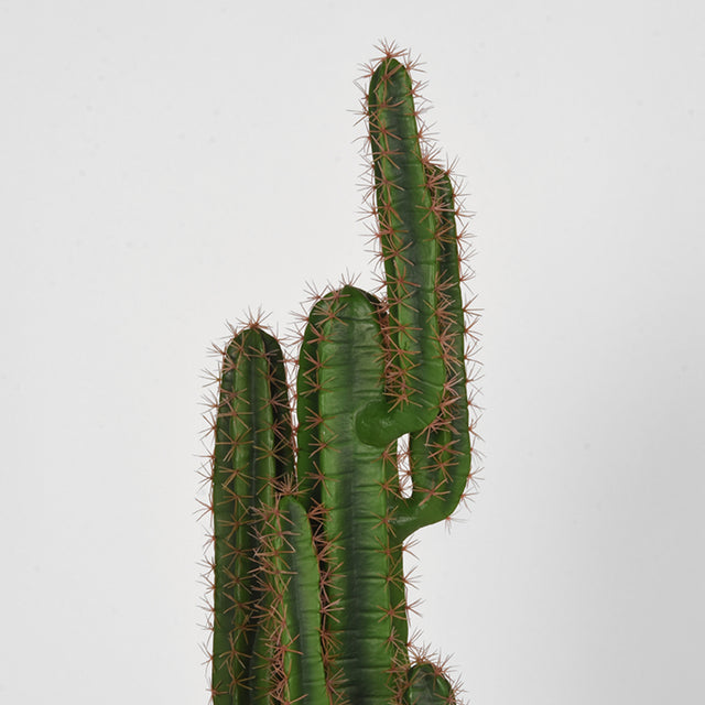 LABEL51 Cactus - Groen - Kunststof - 130 cm van LABEL51 - laagste prijs offerte van PureWonen