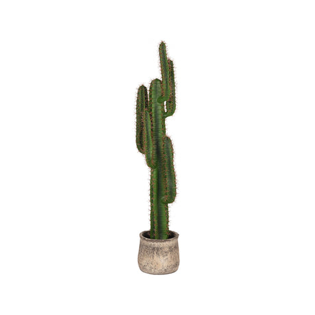 LABEL51 Cactus - Groen - Kunststof - 130 cm van LABEL51 - laagste prijs offerte van PureWonen