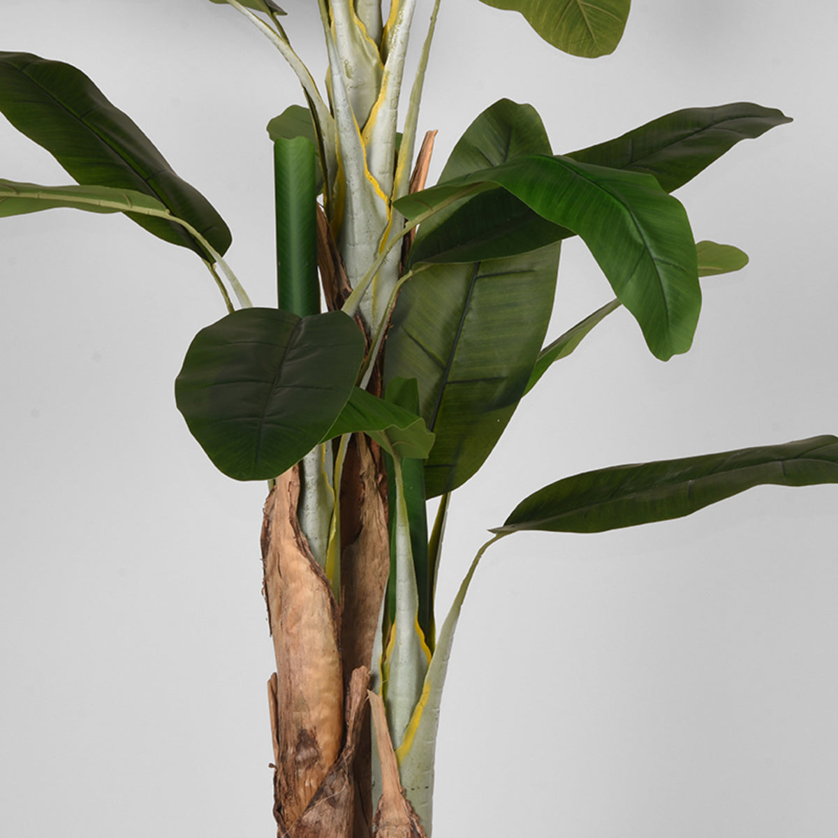 LABEL51 Musa - Groen - Kunststof - 180 cm van LABEL51 - laagste prijs offerte van PureWonen