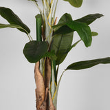 LABEL51 Musa - Groen - Kunststof - 180 cm van LABEL51 - laagste prijs offerte van PureWonen
