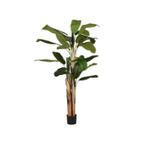 LABEL51 Musa - Groen - Kunststof - 180 cm van LABEL51 - laagste prijs offerte van PureWonen