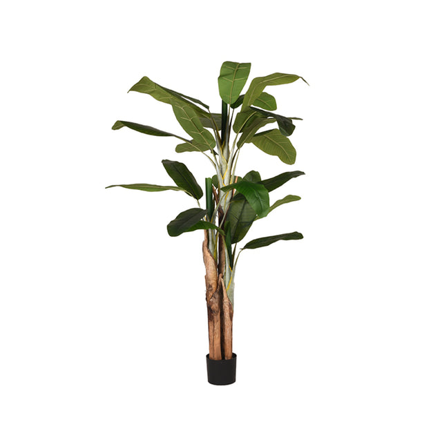 LABEL51 Musa - Groen - Kunststof - 180 cm van LABEL51 - laagste prijs offerte van PureWonen