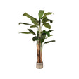 LABEL51 Musa - Groen - Kunststof - 180 cm van LABEL51 - laagste prijs offerte van PureWonen