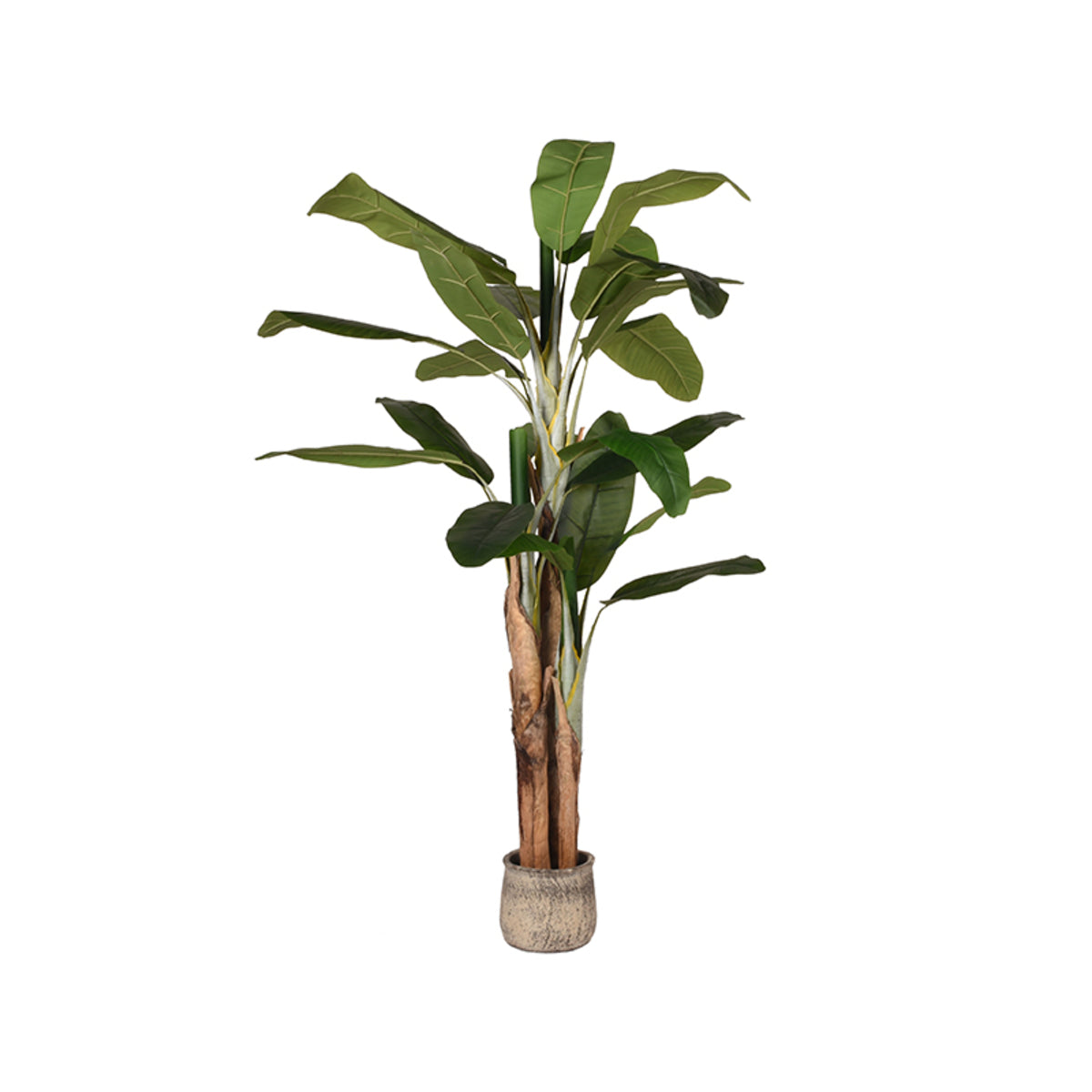 LABEL51 Musa - Groen - Kunststof - 180 cm van LABEL51 - laagste prijs offerte van PureWonen