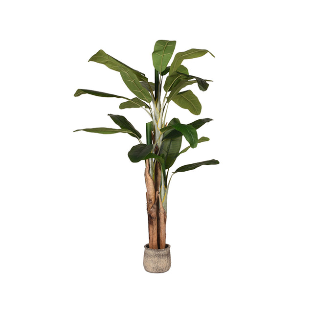 LABEL51 Musa - Groen - Kunststof - 180 cm van LABEL51 - laagste prijs offerte van PureWonen