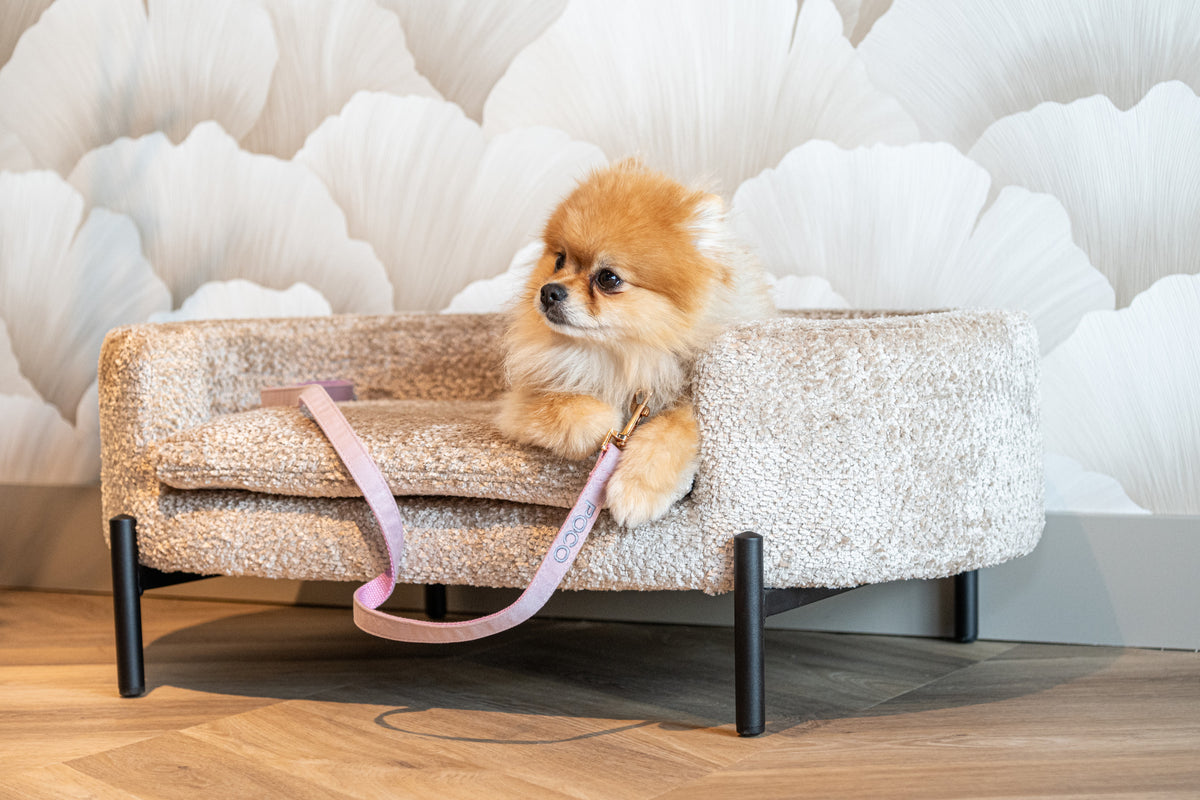 Hondenbed Dolly beige blockweave – Richmond Interiors (afbeelding 9)