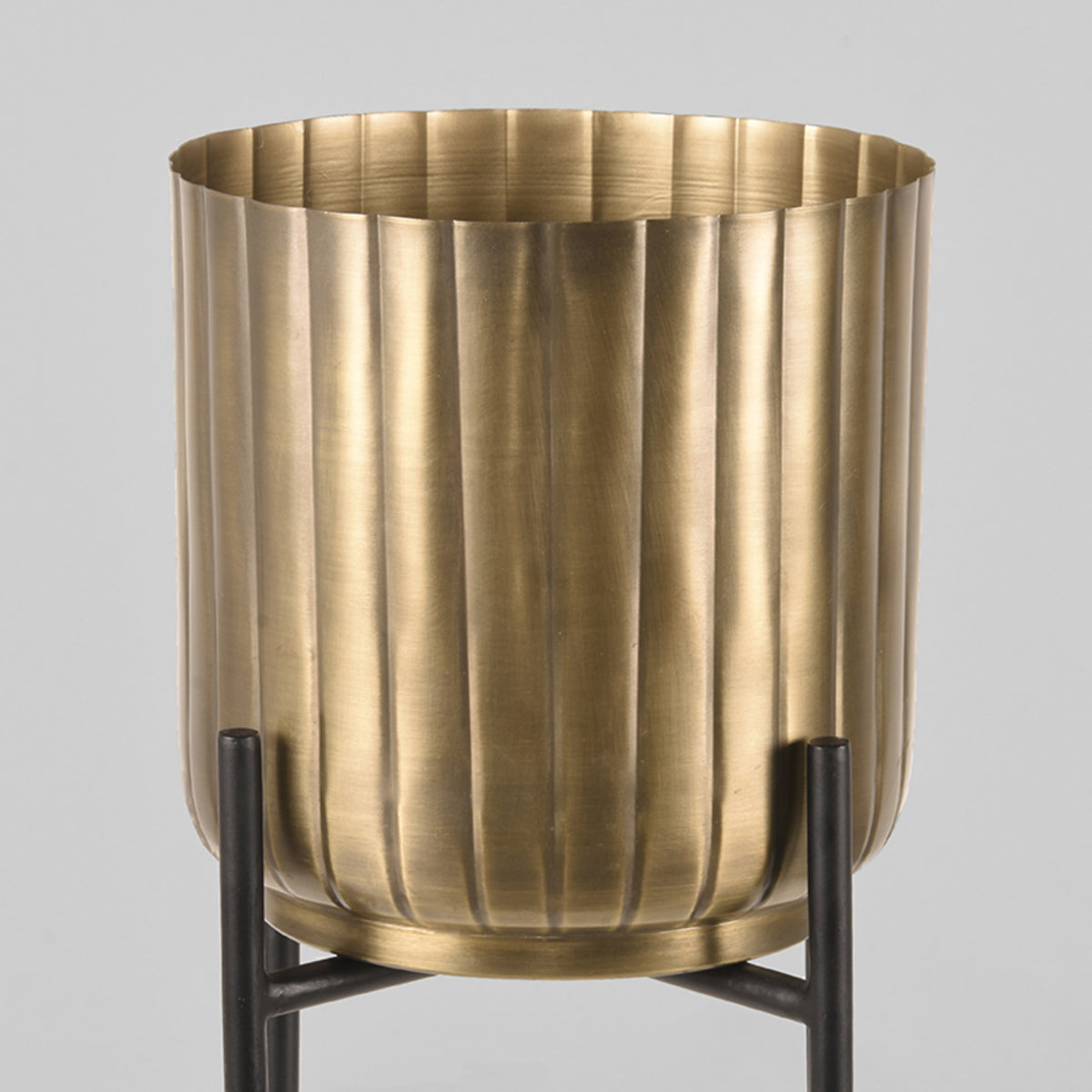 LABEL51 Plantenstandaards - Antiek goud - Metaal van LABEL51 – Luxe comfort op maat van PureWonen. Vraag naar de beste prijs.