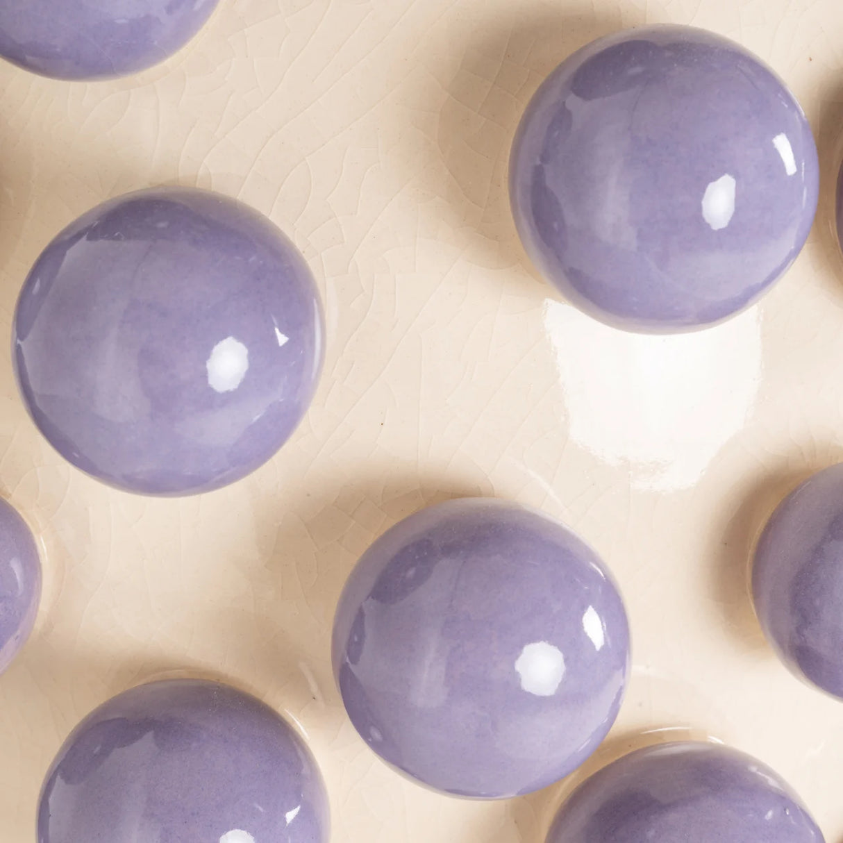 Vaas Dotty cream